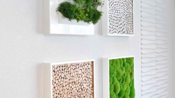 BioMontage Wandbilder