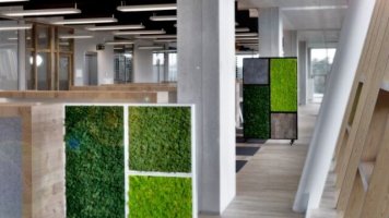 BioMontage Raumteiler